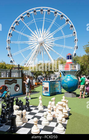 'Cape Wheel' and playground at Victoria & Albert Waterfront, Cape Town, Western Cape Province, Republic of South Africa Stock Photo