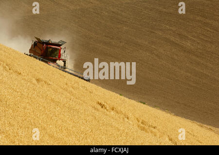Case combine harvests wheat on the hills of the Palouse region of Washington Stock Photo