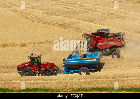 Case combine harvests wheat on the hills of the Palouse region of Washington Stock Photo