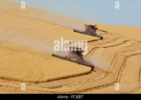 Combines harvesting wheat in the Palouse region of Washington Stock Photo