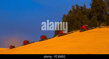 Case combines harvesting wheat in the Palouse region of Eastern Washington Stock Photo