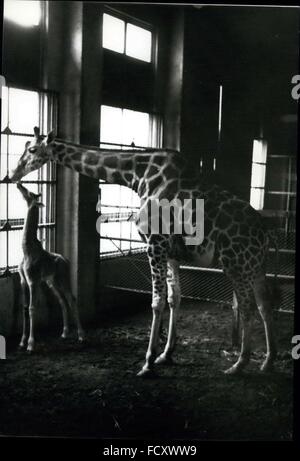 1962 - Spotless Giraffe born in Tokyo.: A spotless baby giraffe has been born at Ueno Zoo in Tokyo. THe rare little animal has none of the usual markings of the father or mother, and no signs that it will develop them later. Photo shows the spotless baby giraffe with its mother. © Keystone Pictures USA/ZUMAPRESS.com/Alamy Live News Stock Photo