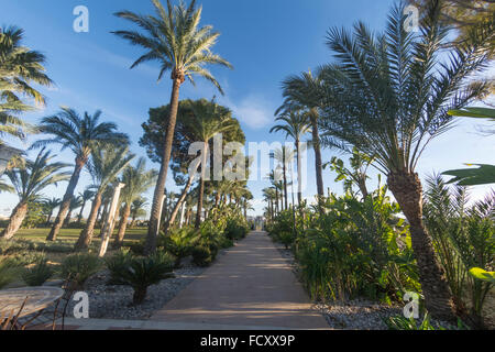 Gardens at Hacienda Riquelme Stock Photo