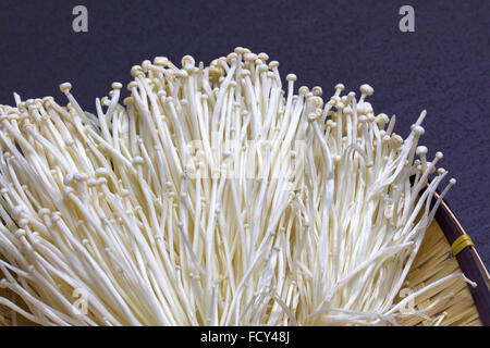 fresh of enoki mushrooms Stock Photo