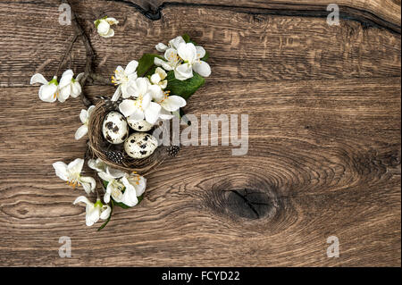 Apple tree flowers and easter nest with eggs on rustic wooden background Stock Photo