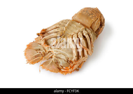 Bottom of a cooked flathead lobster on white background Stock Photo