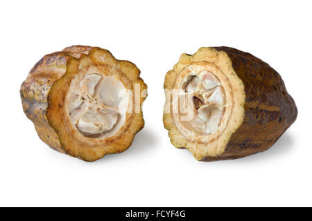 Cocoa beans in a cacao pod on white background Stock Photo