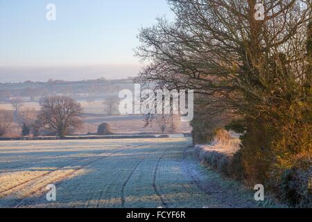 Hoar frost on farmland near the Cotswolds village of Chipping Campden, Gloucestershire, England. Stock Photo