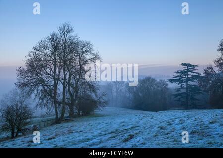 Hoar frost on farmland near the Cotswolds village of Chipping Campden, Gloucestershire, England. Stock Photo