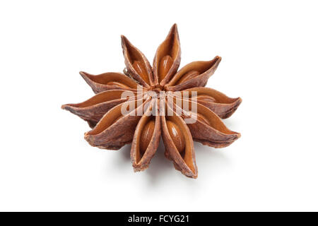 Single star anise seed on white background Stock Photo