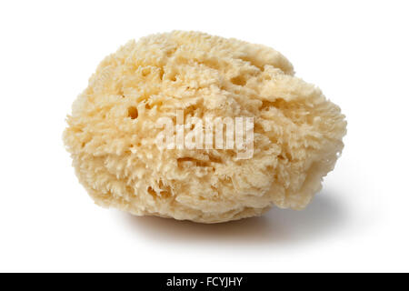 Natural bath sponge for cosmetic use on white background Stock Photo