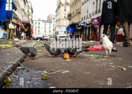 Pigeons eating remains after finished Fruit and vegetables outdoor market at the Marché Aligre, d'Aligre, Aligre street, Aligre square, Paris, France. Stock Photo