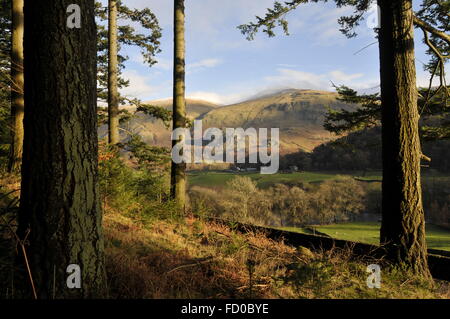 Woodland over looking Thirlmere valley. Stock Photo