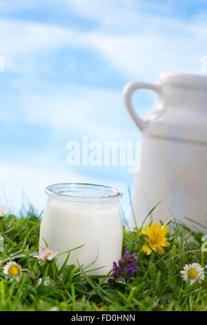 yogurt and milk jug on the grass with Stock Photo