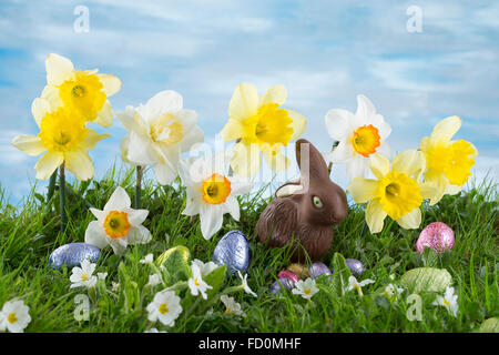Easter Bunny and  eggs hiding in the grass with daffodil Stock Photo