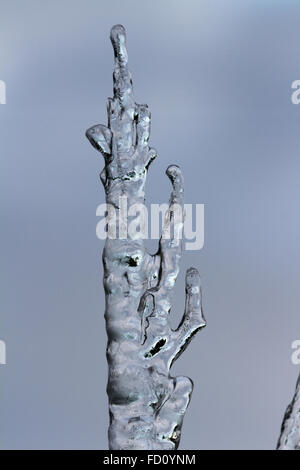 Icicles suspended over a light background with interesting shapes and textures Stock Photo