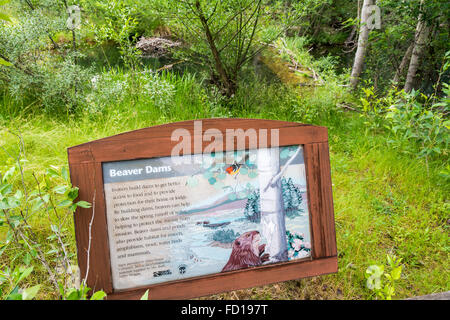 Idaho, Boise, Morrison Knudsen Nature Center, Beaver Dam information sign Stock Photo