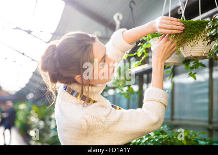 Tender pretty female gardener working with plants and flowers in garden center Stock Photo