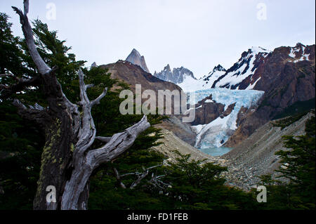 Mirador Glaciar Piedras Blancas next to Mount Fitz Roy, Los Glaciares National Park, Patagonia, Argentina Stock Photo