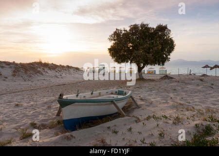 foreground row boat and dominant tree on beach at Marmari, Kos, Greece Stock Photo