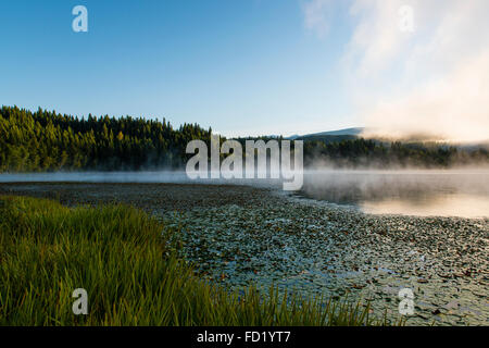 Lake, fog, Dutch Lake, Clearwater, British Columbia, Canada Stock Photo