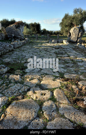 Italy, Tuscany, Argentario, Orbetello, Ansedonia, ruins of the ancient roman city of Cosa, forum Stock Photo