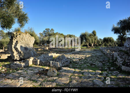 Italy, Tuscany, Argentario, Orbetello, Ansedonia, ruins of the ancient roman city of Cosa, forum Stock Photo