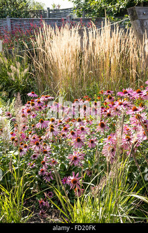 A small demonstration garden planted in the Prairie style Stock Photo