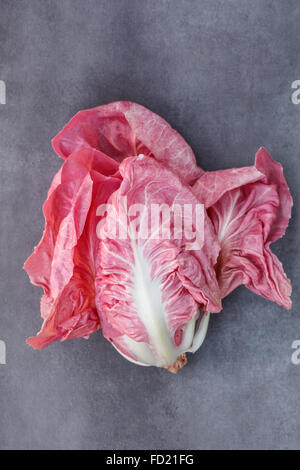 Pink radicchio on dark background Stock Photo