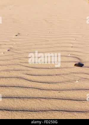 Seamless texture of sand beach. Sand background template. Stock Photo