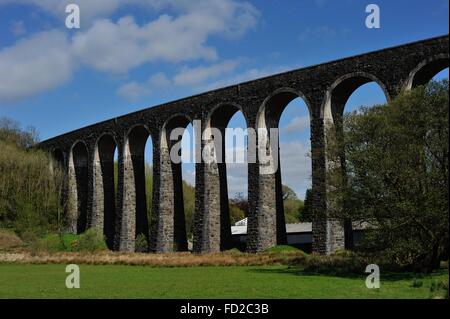 Cynghordy railway viaduct, Central / Heart of Wales line. Built on a curve, 305m Long x 33m High. consisting of 18 arches. Stock Photo