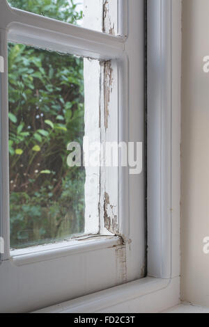 Condensation and water damage to traditional single glazed wooded window frame including rot and peeling paint Stock Photo