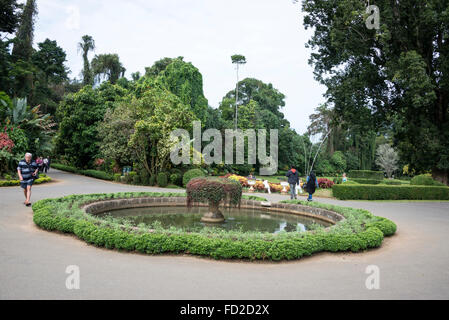 The Royal Botanic Gardens, Peradeniya are about 5.5 km from Kandy in the Central Province of Sri Lanka. Stock Photo