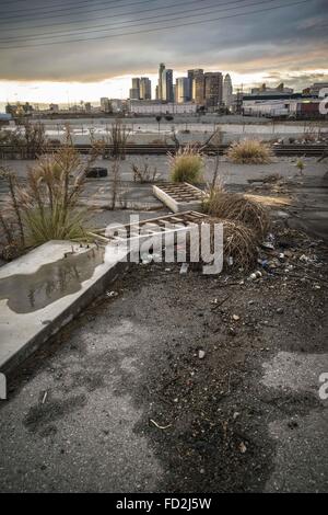 Los Angeles, California, USA. 29th Nov, 2013. The LA City skyline gleams in the sunset after a sudden rain. © Fred Hoerr/ZUMA Wire/Alamy Live News Stock Photo