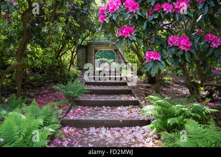 Steps leading to the entrance to the victorian flower garden at Wentworth castle gardens, Yorkshire. Stock Photo