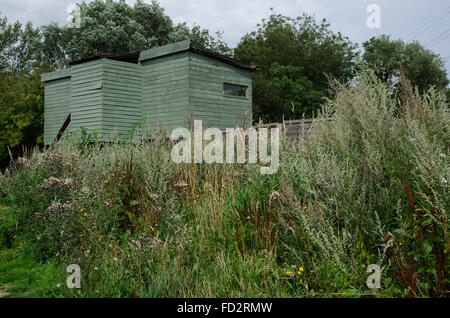 Kingfisher hide in Rye Meads Nature Reserve, England, where birdwatchers can watch a pool where kingfishers have their nest Stock Photo