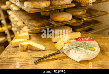 The Reblochon is an AOC cheese of Le Grand-Bornand in Haute-Savoie, French Alps, France Stock Photo