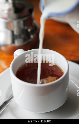 pour milk in the tea Stock Photo