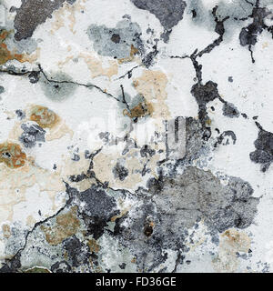 Dirty concrete wall with streaks of water, stains, cracks and scratches. Grungy concrete surface. Great background or texture fo Stock Photo