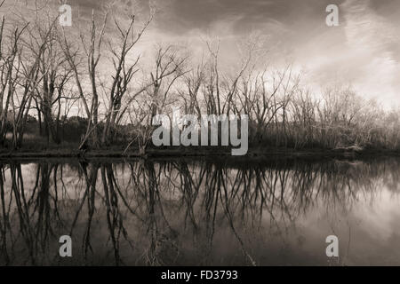 The Concord River passes through the Great Meadows National Wildlife Refuge. Stock Photo