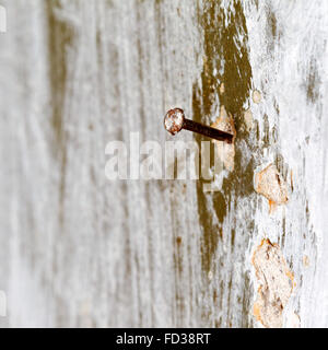 Creative rusty iron nail hammered into the old vintage wall. Selective focus on the nail head. Stock Photo