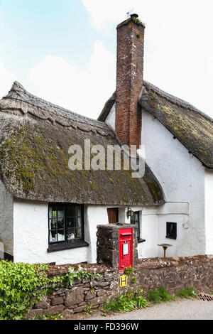 Dunchideock, Devon, UK, Traditional thatched cottage red mail letter box Stock Photo