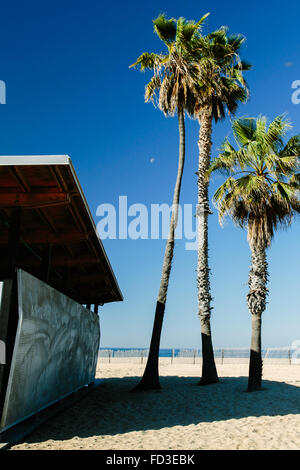 An early moon peeks out between the palms on a Santa Monica beach in California. Stock Photo