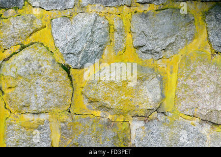 Close up of rough cut grey stone wall covered with greenish yellow lichen Stock Photo