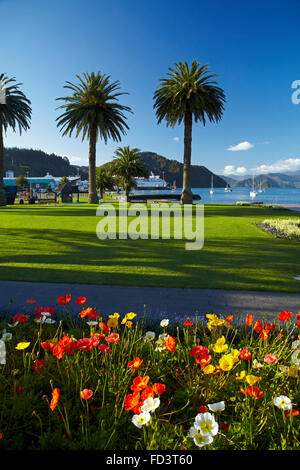 Flowers and palm trees, Foreshore Reserve, Picton, Marlborough Sounds, South Island, New Zealand Stock Photo