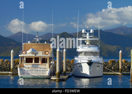 Luxury boats, Marina, Picton, Marlborough Sounds, South Island, New Zealand Stock Photo