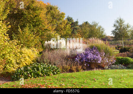Prairie Border The Prairie Borders, featuring Aster and grasses. Brightwater Gardens ...