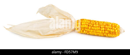 Dried cob corn isolated on white background Stock Photo