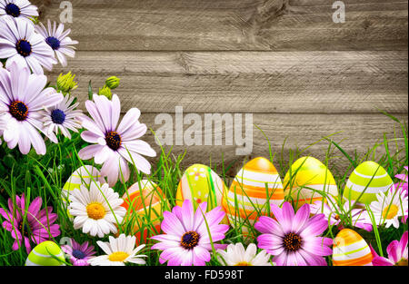 Spring flowers and happy colorful Easter eggs with rustic wood planks in the background Stock Photo