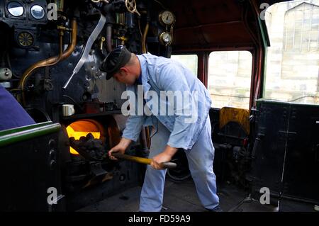 Stoker stoking the fire box of steam train LMS Princess Coronation Class 46233 Duchess of Sutherland. Stock Photo